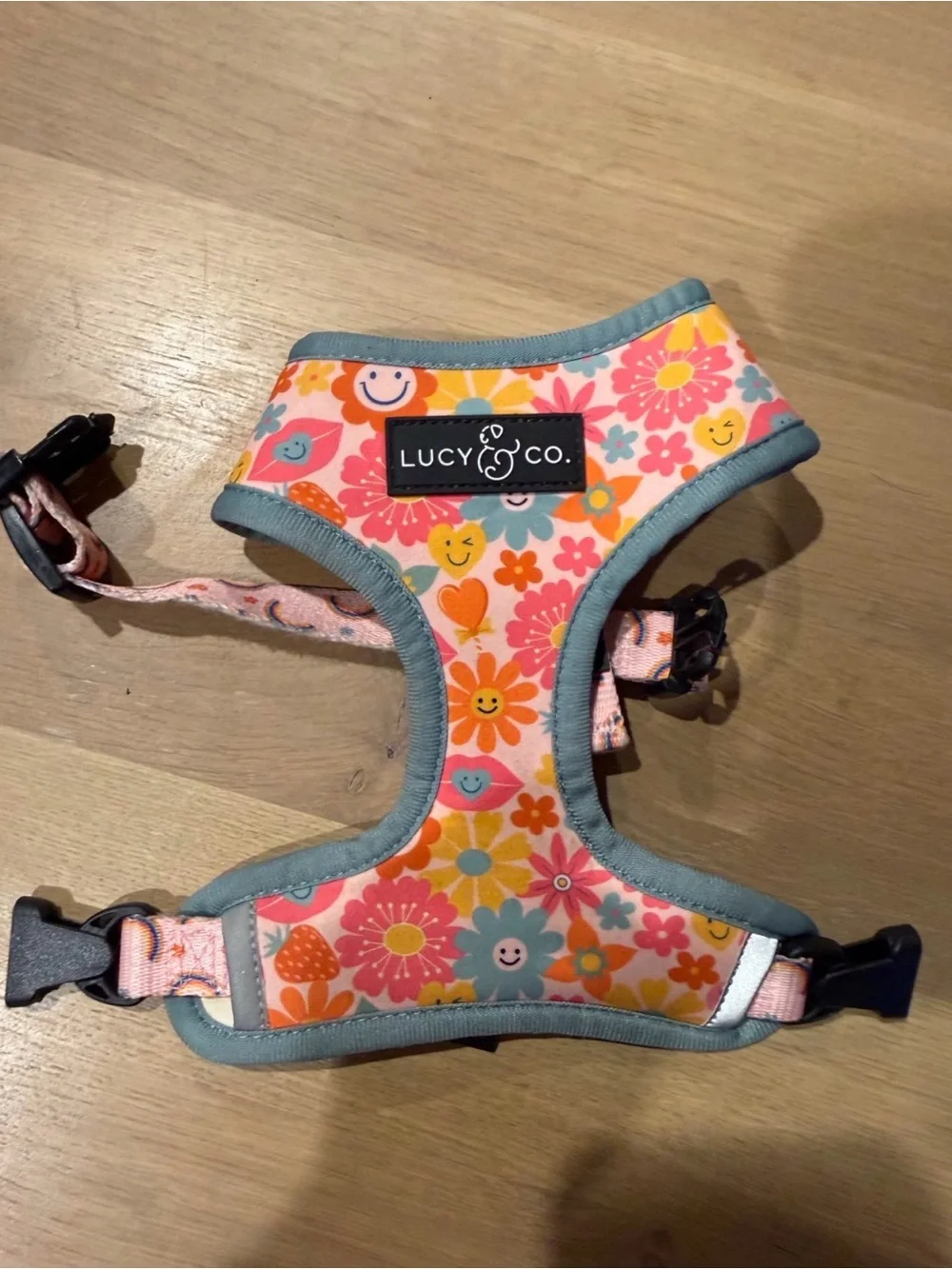 Lucy & Co. Dog Harness XS
